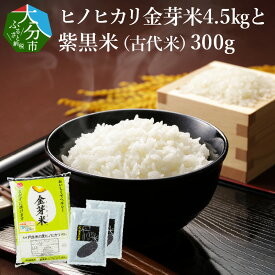 【ふるさと納税】ヒノヒカリ金芽米4.5kgと紫黒米（古代米）300g B01013