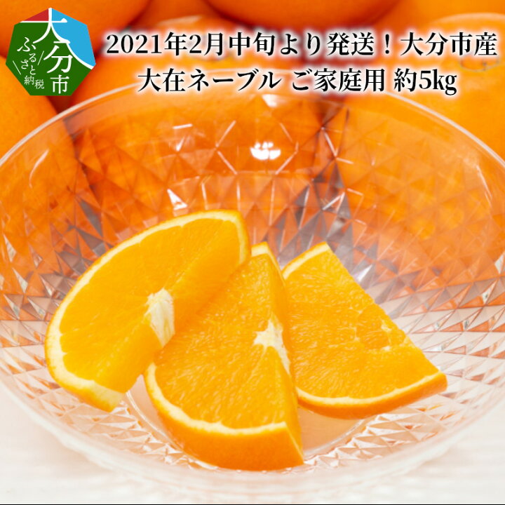 楽天市場 ふるさと納税 22年2月中旬より発送 大分市産 大在ネーブル ご家庭用 約5kg C 大分県大分市 大分県大分市