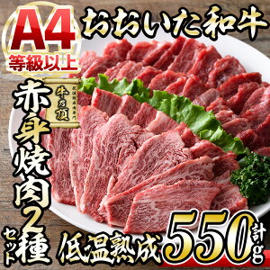 yӂ邳Ɣ[Łza Ԑg ē 2Zbg (v550gEIԐgē250g+Ԑgē300g) Y   ~ ቷn A4 a uh BBQ Ⓚ 啪 s yDH233zy()lNTz