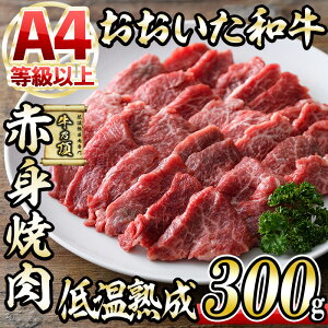 yӂ邳Ɣ[Łza Ԑg ē (300g) Y   ~ ቷn   A4 a uh BBQ Ⓚ 啪 syDH240zy()lNTz
