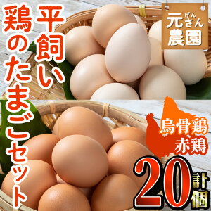 yӂ邳Ɣ[Łz{̂܂Zbg (v20EG{܂10EԌ{܂10) _  ʎq  ʎqĂ  { { {{꒼ ̂ VN 啪 s yGE