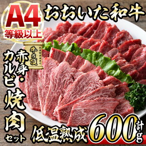 yӂ邳Ɣ[Łza I ē Zbg (v600gEԐg300g+Jr300g) Y   ~ ቷn A4 a uh Jr BBQ Ⓚ 啪 syDH214zy()lNTz