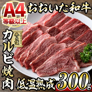 yӂ邳Ɣ[Łza Jr ē (300g) Y   ~ ቷn A4 a uh BBQ Ⓚ 啪 syDH218zy()lNTz