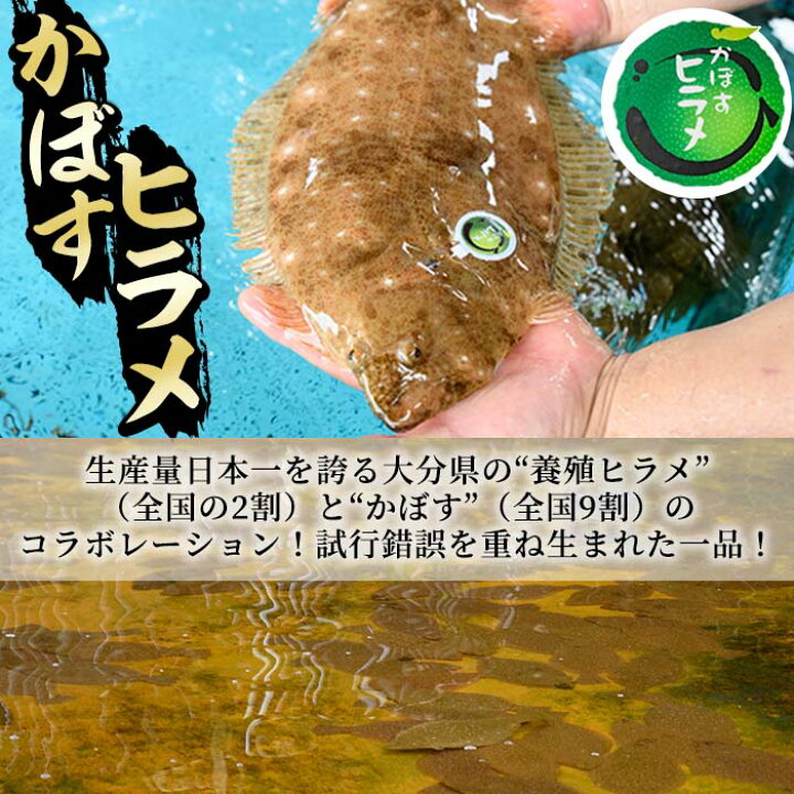 楽天市場 ふるさと納税 味よし 香りよし 見ためよし三拍子揃った極上の一品 蒲江産かぼすヒラメ 大分県佐伯市