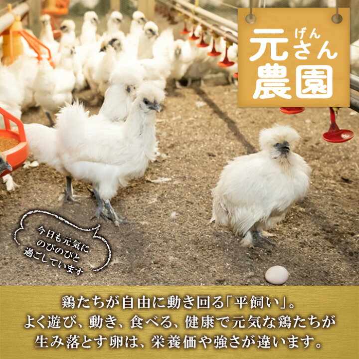楽天市場】【ふるさと納税】平飼い烏骨鶏のたまご (計10個) 元さん農園 