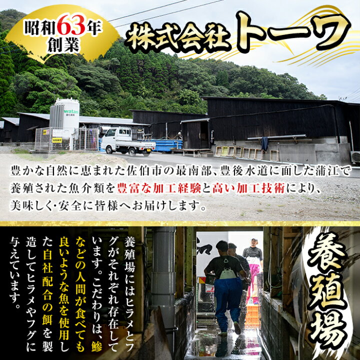 楽天市場】【ふるさと納税】大分 佐伯 養殖 とらふぐ ふぐ刺し 3皿 セット 瞬間凍結 生簀直送 | ふぐ ふく 刺し身 刺身 さし身 魚 さかな  てっさ お取り寄せ グルメ 人気 おすすめ ご当地 : 大分県佐伯市