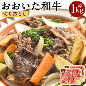 yӂ邳Ɣ[Łza ؂藎Ƃ 1kg 500g×2pbN ܐ؂ א؂ јa a    Y  Ⓚ 啪Y 