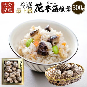 yӂ邳Ɣ[Łz啪Y Iŏ㋉Ԃǂ 300g   VC^P ǂ ̂  Y BY   FD30 