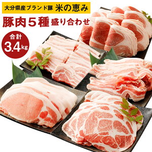 yӂ邳Ɣ[Łz啪Y uh Ă̌b ؓ5 荇킹 v3.4kg oē [XXCX ؂藎Ƃ [X o ؓ  Ԃ ē Zbg O Ⓚ 