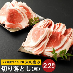 yӂ邳Ɣ[Łz啪Y uh Ă̌b ؂藎Ƃ 2.2kg 220g×10  ؂藎Ƃij ؓ  O Ⓚ Y  yVX[p[SALE 9J