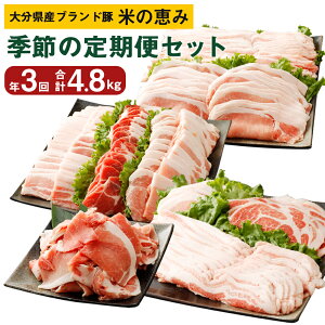 yӂ邳Ɣ[Łzy N3z啪Y uh Ă̌b G߂̒փZbg 3 1`2E5`6E9`10 v4.8kg uߕ ē BBQ Ԃ  ؓ  O |cs Ⓚ