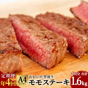 yӂ邳Ɣ[ŁzN4   L㋍ Xe[L 400g 4 v1.6kg јa  Xe[L a  A4Nȏ Ⓚ 啪Y BY Y 