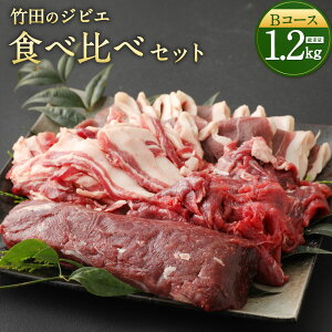 yӂ邳Ɣ[Łz|c̃WrG Hה   4 Zbg BR[X v1.2kg Vst CmVV VJ 4 WrG  [X E Ԃԓ ubN Ⓚ  Hi Zb