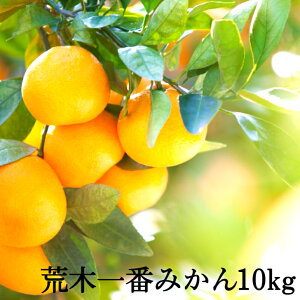 yӂ邳Ɣ[Łzys\ENzzߘa8N1Jn/r؈Ԃ݂10kg  B~J