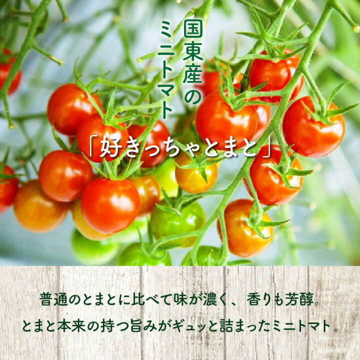 楽天市場 ふるさと納税 リコピンたっぷり 国東産ミニトマト3kg 大分県国東市 楽天市場 ふるさと納税 リコピンたっぷり 国東産ミニトマト3kg 大分県国東市