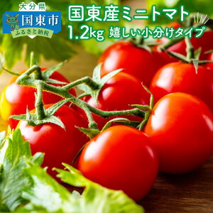 新 トマトの人気商品 通販 価格比較 価格 Com
