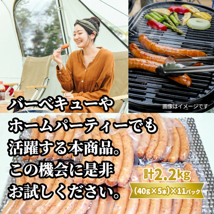 6800円 【人気急上昇】 ふるさと納税 佐賀市 ロング粗挽きウインナー ガスボー 5パック C-043 6800円 【人気急上昇】 ふるさと納税 佐賀市 ロング粗挽きウインナー ガスボー 5パック C-043