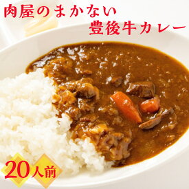 【ふるさと納税】肉屋のまかない豊後牛カレー4.6kg（230g×20P）