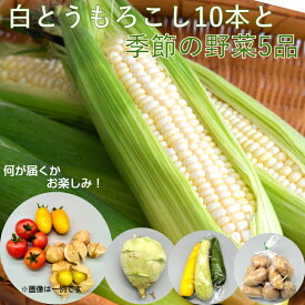 【ふるさと納税】【令和6年6月から発送】 白とうもろこし10本と季節のユニーク野菜5品詰合せ