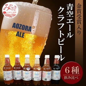 【ふるさと納税】青空エールこだわりのクラフトビール飲み比べ詰め合わせセット6種6本（500mlペットボトル×6本） 計3,000ml お酒 青空エール クラフトビール 飲み比べ 詰め合わせ セット 醸造 手作り 冷蔵 ビールコンテスト お取り寄せ 宮崎県 宮崎市 送料無料