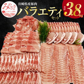 【ふるさと納税】豚肉 バラエティセット 合計 3.8kg（豚肉切り落とし、豚ローススライス、豚モモスライス、豚ロースしゃぶしゃぶ用、豚バラスライス、豚ローストンカツ用）小分け 冷凍 宮崎県産