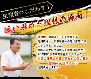 10回お届け!都城産豚「おさつポーク」「南国スイート」バラエティ定期便