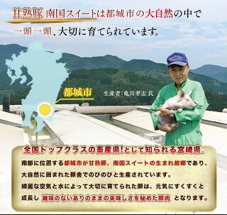 10回お届け!都城産豚「おさつポーク」「南国スイート」バラエティ定期便