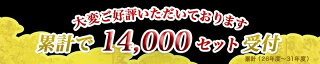 宮崎牛ハンバーグセット