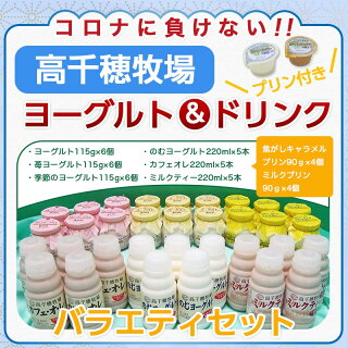 【コロナに負けない!元気モリモリ福袋】高千穂牧場ヨーグルト&ドリンクバラエティセット(プリン付き)