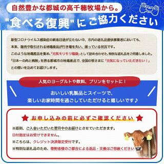 【コロナに負けない!元気モリモリ福袋】高千穂牧場ヨーグルト&ドリンクバラエティセット(プリン付き)