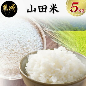 楽天市場 米の通販