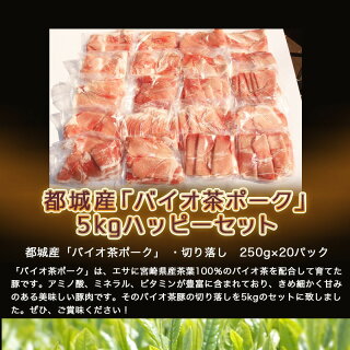 都城産「バイオ茶ポーク」5kgハッピーセット