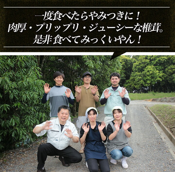 楽天市場】【ふるさと納税】都城産朝採れ肉厚生しいたけ - 特製みそだれ付き 朝採れ生椎茸 約200g×3袋 計600g どんこ椎茸 贈り物・ギフトにも 国産 宮崎県産 チーズとも相性抜群 山之口町産 冷蔵保存/冷凍保存可 送料無料 AA-8701【宮崎県都城市は令和2年度ふるさと納税 ... 楽天市場】【ふるさと納税】都城産朝採れ肉厚生しいたけ - 特製みそだれ付き 朝採れ生椎茸 約200g×3袋 計600g どんこ椎茸 贈り物・ギフトにも 国産 宮崎県産 チーズとも相性抜群 山之口町産 冷蔵保存/冷凍保存可 送料無料 AA-8701【宮崎県都城市は令和2年度ふるさと納税 ...