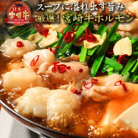楽天市場 宮崎牛 ホルモン 牛肉 精肉 肉加工品 食品の通販