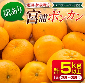 【ふるさと納税】訳あり≪数量限定≫宮浦ポンカン(計5kg以上)　お試し　フルーツ　果物　柑橘　みかん
