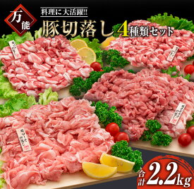 【ふるさと納税】豚肉 切り落とし 4種 セット 合計2.2kg 日南市産 ポーク 国産 食品 おかず お弁当 おつまみ 万能食材 豚ロース 豚バラ 豚モモ 豚ウデ 切落し 食べ比べ 人気 おすすめ カレー 焼肉 生姜焼き 炒め物 大容量 お取り寄せ おすそ分け 宮崎県 日南市 送料無料