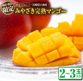【ふるさと納税】≪期間・数量限定≫みやざき完熟マンゴー(2〜3玉)