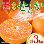 【ふるさと納税】期間・数量限定≪厳選≫せとか(計3kg)フルーツ果物柑橘みかん