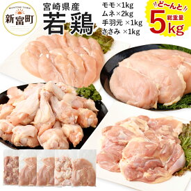 【ふるさと納税】宮崎県産 若鶏5kgセット 鳥肉 もも肉 1kg むね肉 2kg ささみ 1kg 手羽元1kg 国産 送料無料