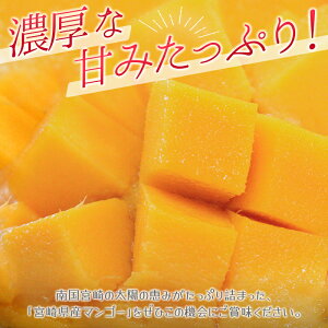 記事番号:37536/アイテムID:506240の画像
