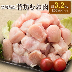 【ふるさと納税】＼レビューキャンペーン／ 小分けで便利！宮崎県産 若鶏むね肉 計3.2kg（800g×4パック）一口大 個別凍結