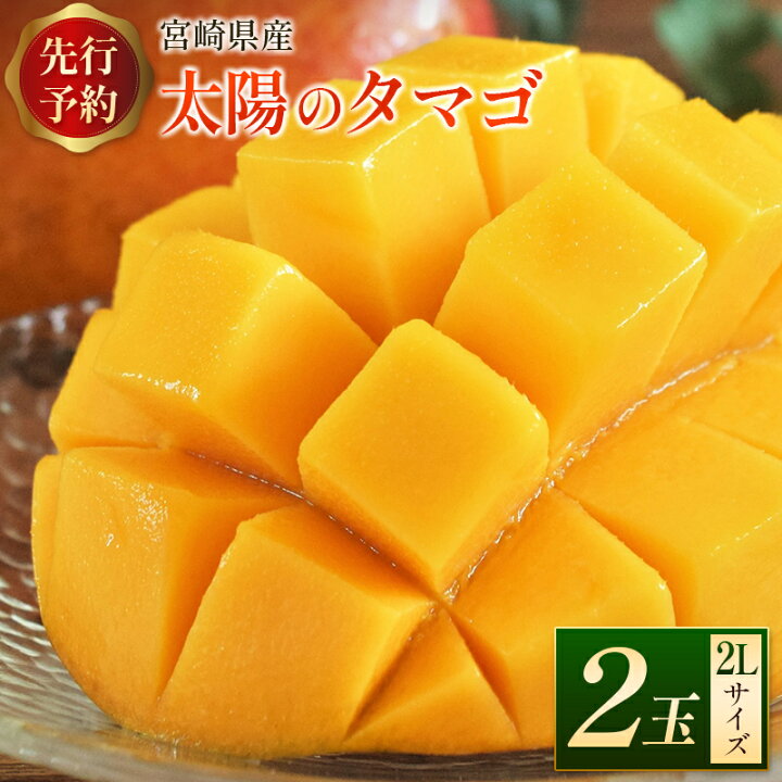 楽天市場】【ふるさと納税】宮崎県産 「太陽のタマゴ」2Lサイズ 2玉 