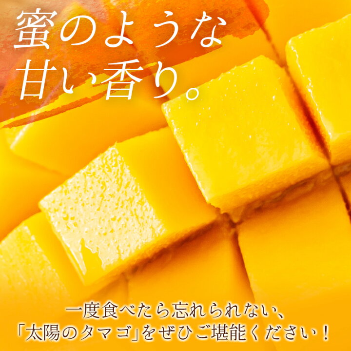 楽天市場】【ふるさと納税】<先行予約>宮崎県産 「太陽のタマゴ」2Lサイズ 2玉 完熟マンゴー : 宮崎県新富町 楽天市場】【ふるさと納税】<先行予約>宮崎県産 「太陽のタマゴ」2Lサイズ 2玉 完熟マンゴー : 宮崎県新富町