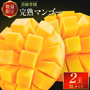 yӂ邳Ɣ[Łzʌ聄΍ n}S[ 3L×2 {茧Y ʕ t[c s\ 2026N5{`