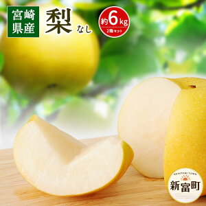 返礼品画像