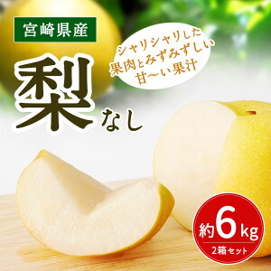 返礼品画像