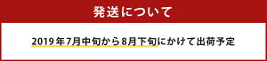 【ふるさと納税】予約受付<シャリシャリ梨セット約6kg宮崎県産2箱セット>※2019年7月中旬から8月下旬にかけて出荷予定なし本部梨園送料無料