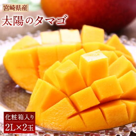 【ふるさと納税】最上級 完熟マンゴー 宮崎県産 太陽のタマゴ 1玉350g以上（中玉 2L×2玉) 送料無料 化粧箱入り 糖度15度以上 フルーツ 果物　※2020年6月〜7月の期間内に順次出荷