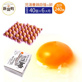 【ふるさと納税】児湯養鶏自慢の卵 計240個 （40個×6回） 6ヶ月定期便 冷蔵 送料無料 たまご 国産
