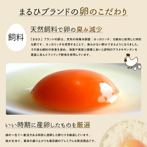 �ڤդ뤵��Ǽ�ǡۻ����ܷܼ�������480�ġ�40��&times;12���12�����������¢����̵�����ޤ���